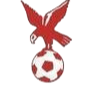 https://img.sxxingke.cn/img/football/team/4802d26df935b78bb2fcdbbff36e8864.png